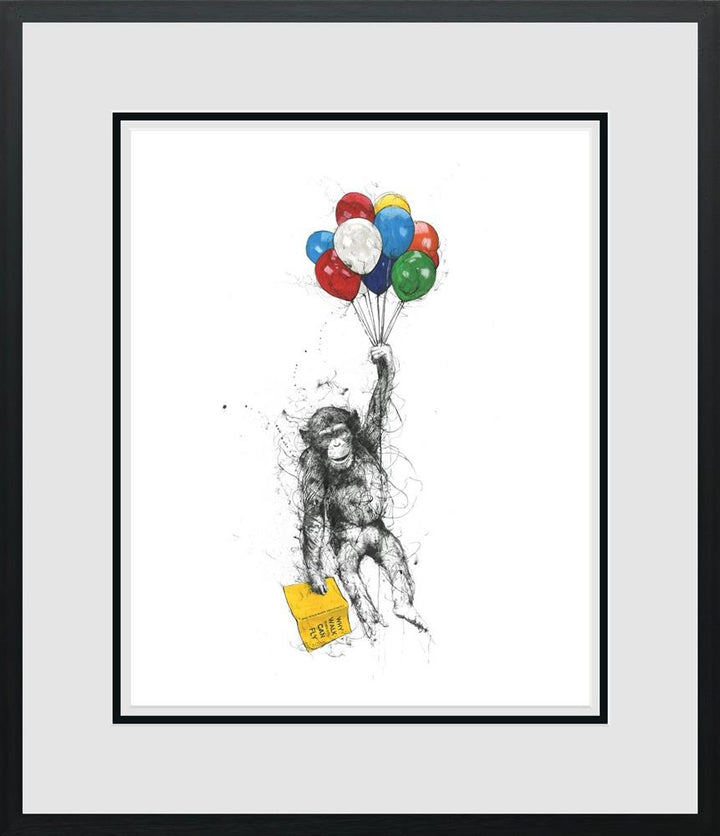 Why Walk When You Can Fly by Scott Tetlow - TheArtistsQuarter