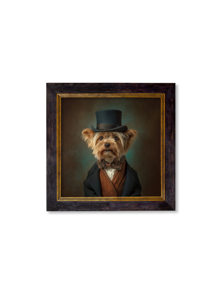 Lord Barkley of York - Gentleman Yorkshire Terrier Oxford Square Frame