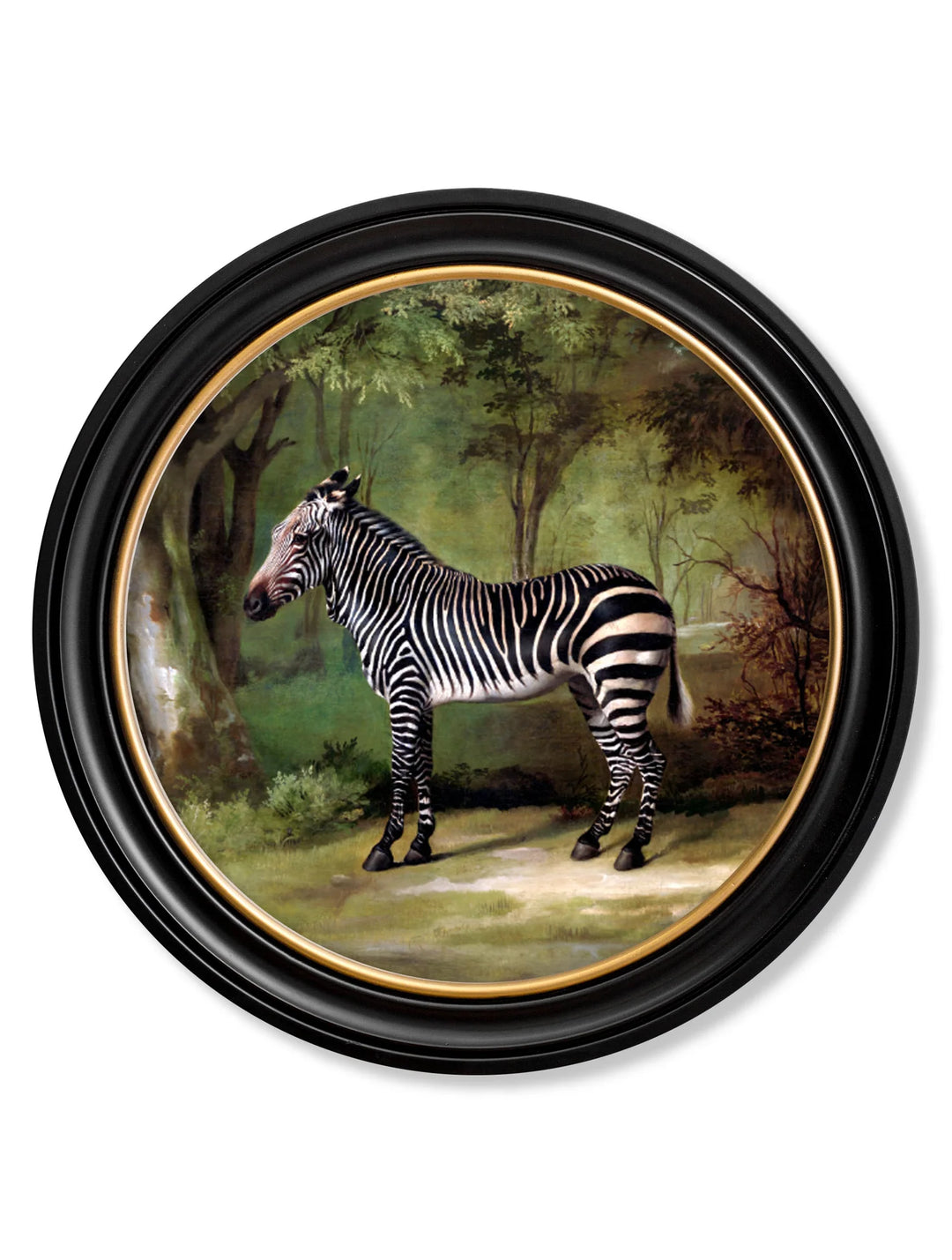 c.1763 George Stubb's Zebra - Round Frame - TheArtistsQuarter