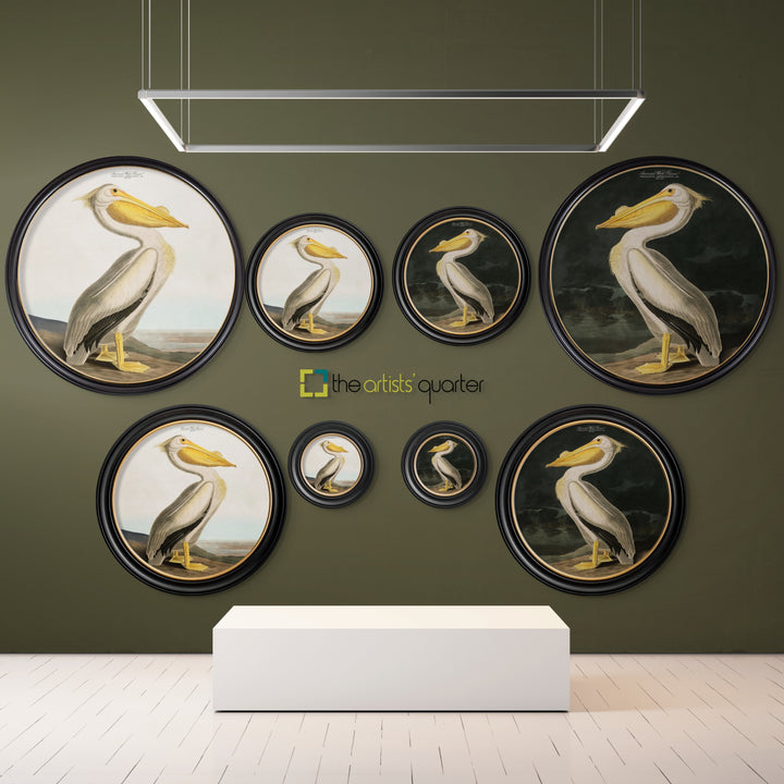 C.1838 Audubon's American Pelican - Round Frame - TheArtistsQuarter