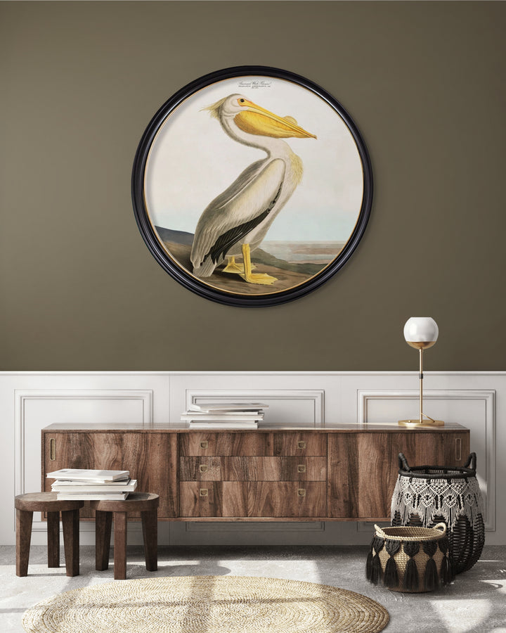 C.1838 Audubon's American Pelican - Round Frame - TheArtistsQuarter