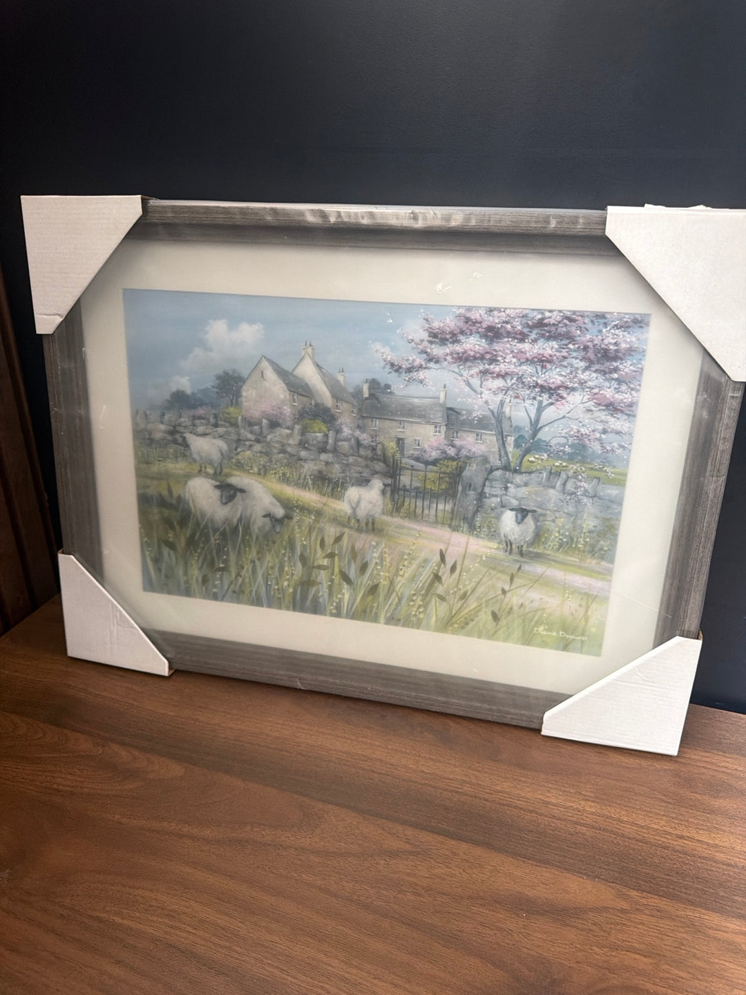 Blossom Meadow by Diane de Mercy framed wall art