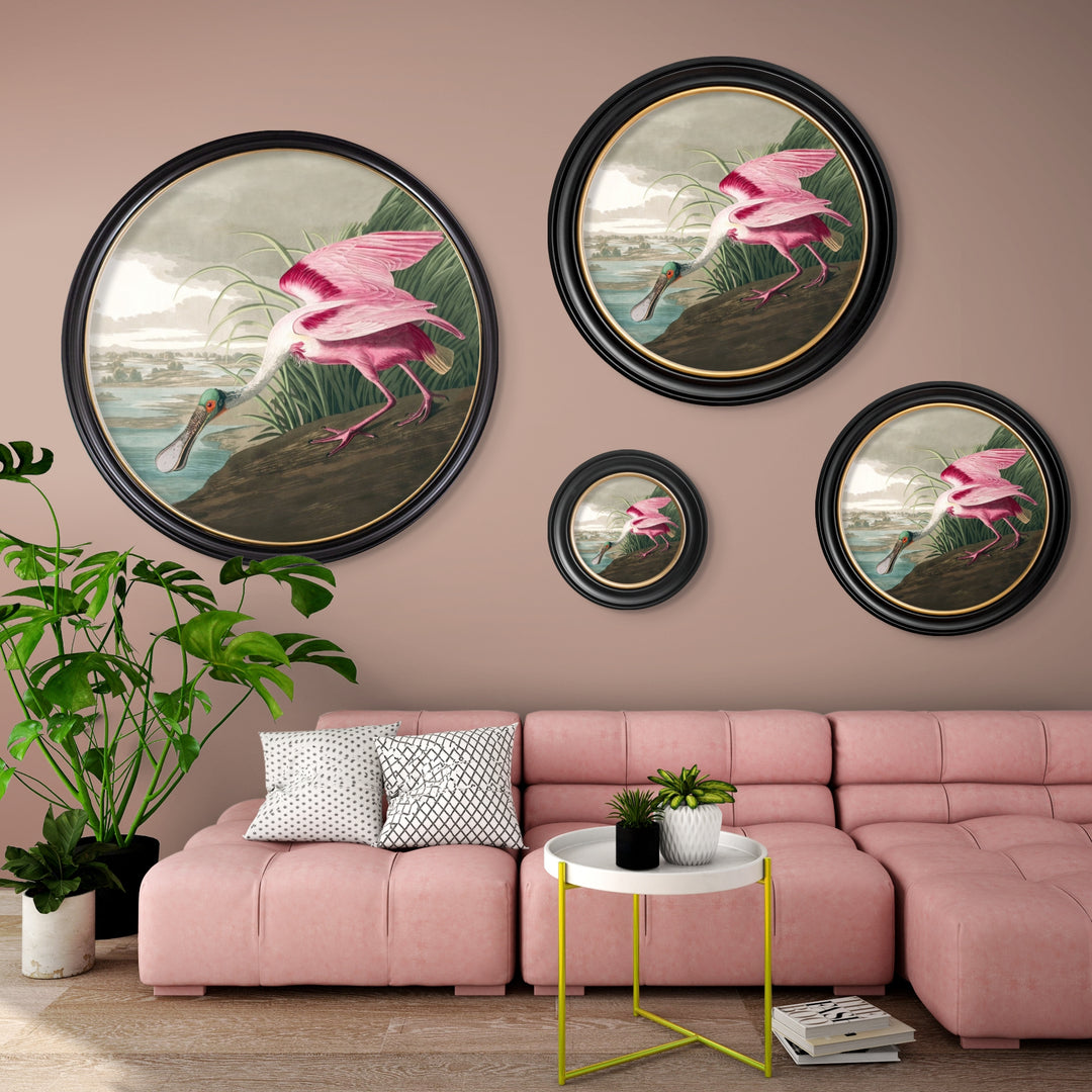 C.1838 Audubon's Roseate Spoonbill Round Frame - TheArtistsQuarter