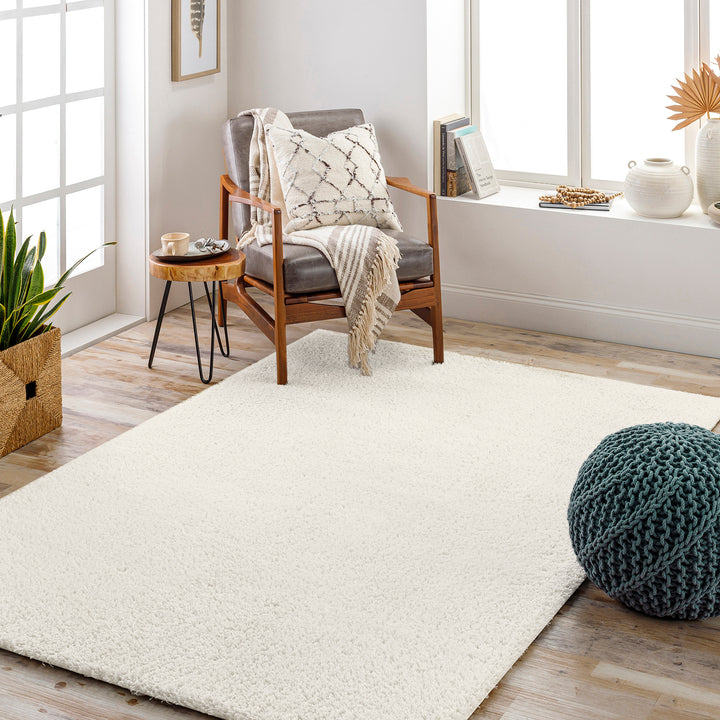 Cloudy Shaggy Rug Beige - TheArtistsQuarter