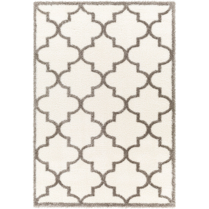 Cloudy Shaggy Rug Ivory & Dark Grey - TheArtistsQuarter