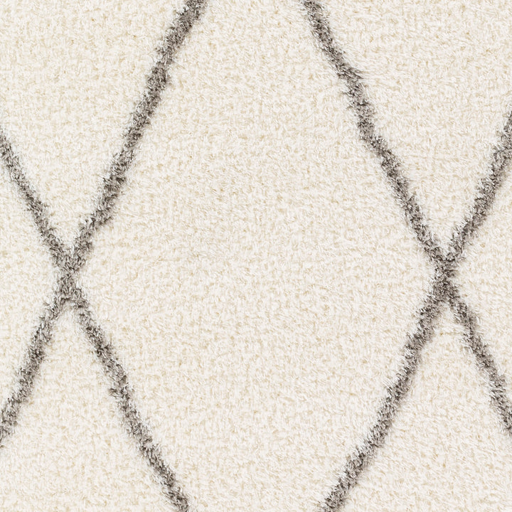 Cloudy Shaggy Rug Ivory & Off-White - TheArtistsQuarter