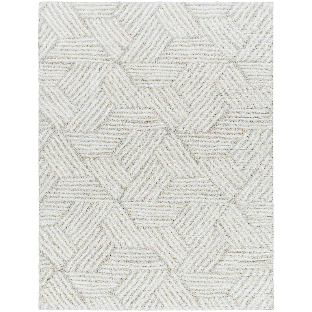 Cloudy Geometric Shaggy Rug Beige - TheArtistsQuarter