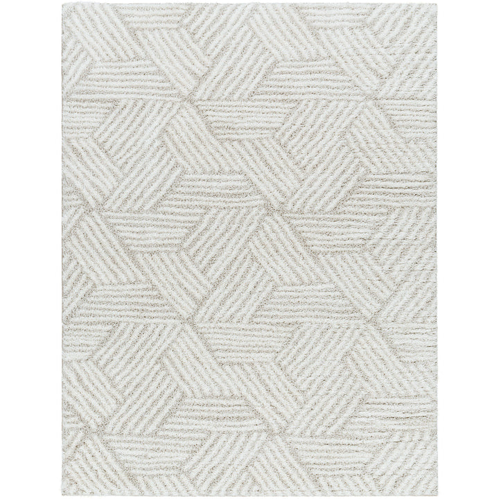 Cloudy Geometric Shaggy Rug Beige - TheArtistsQuarter