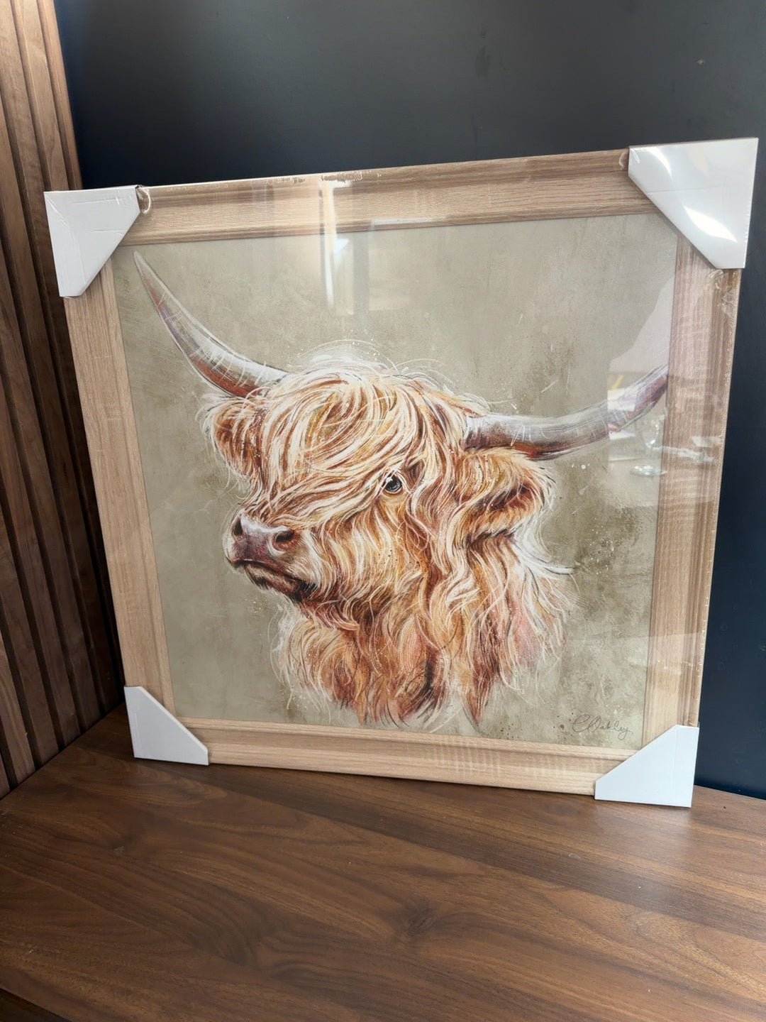 Highland Cow Trial by Charlotte Oakley - TheArtistsQuarter