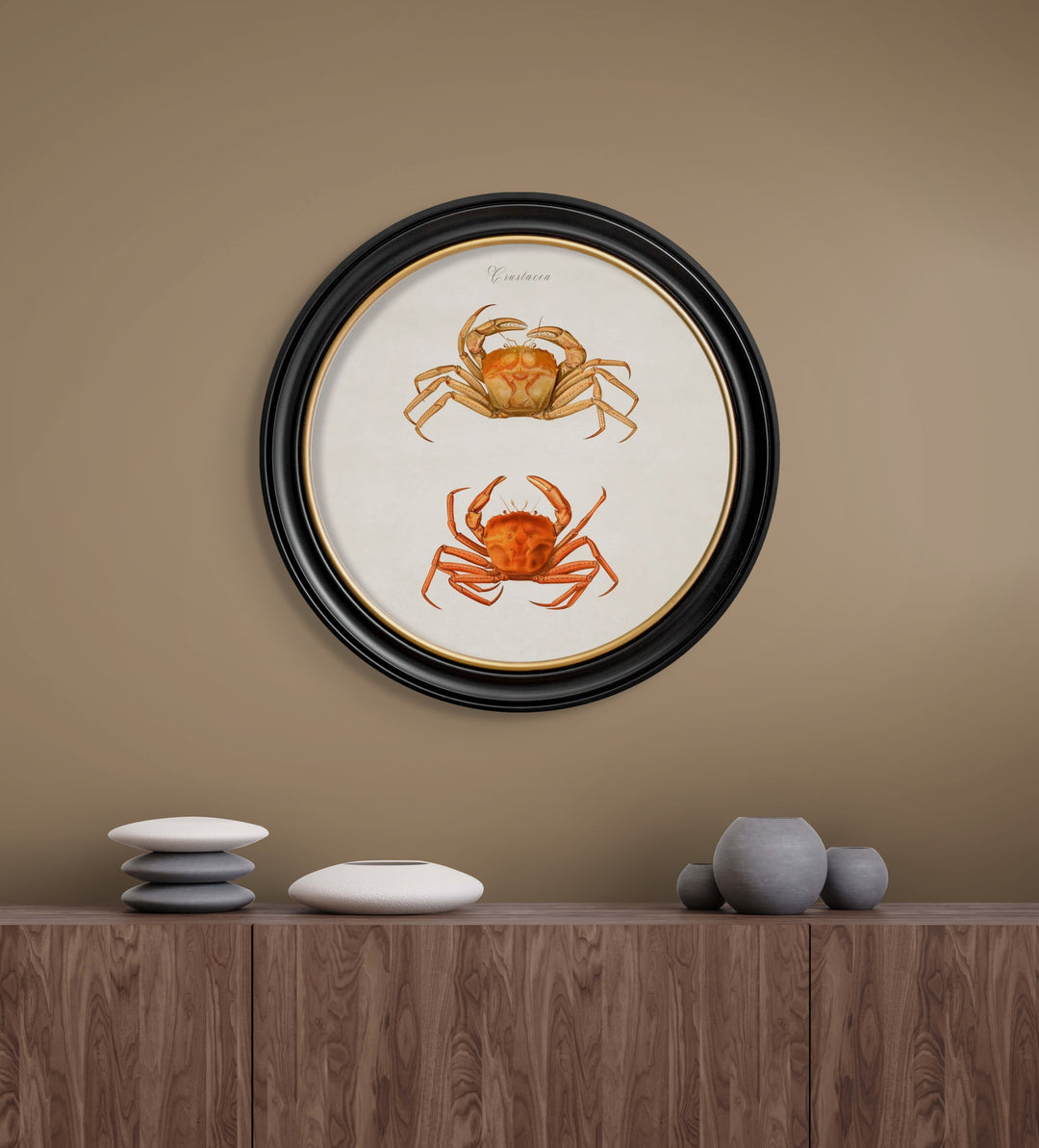 C.1876 Marine Animals In Round Frames - TheArtistsQuarter