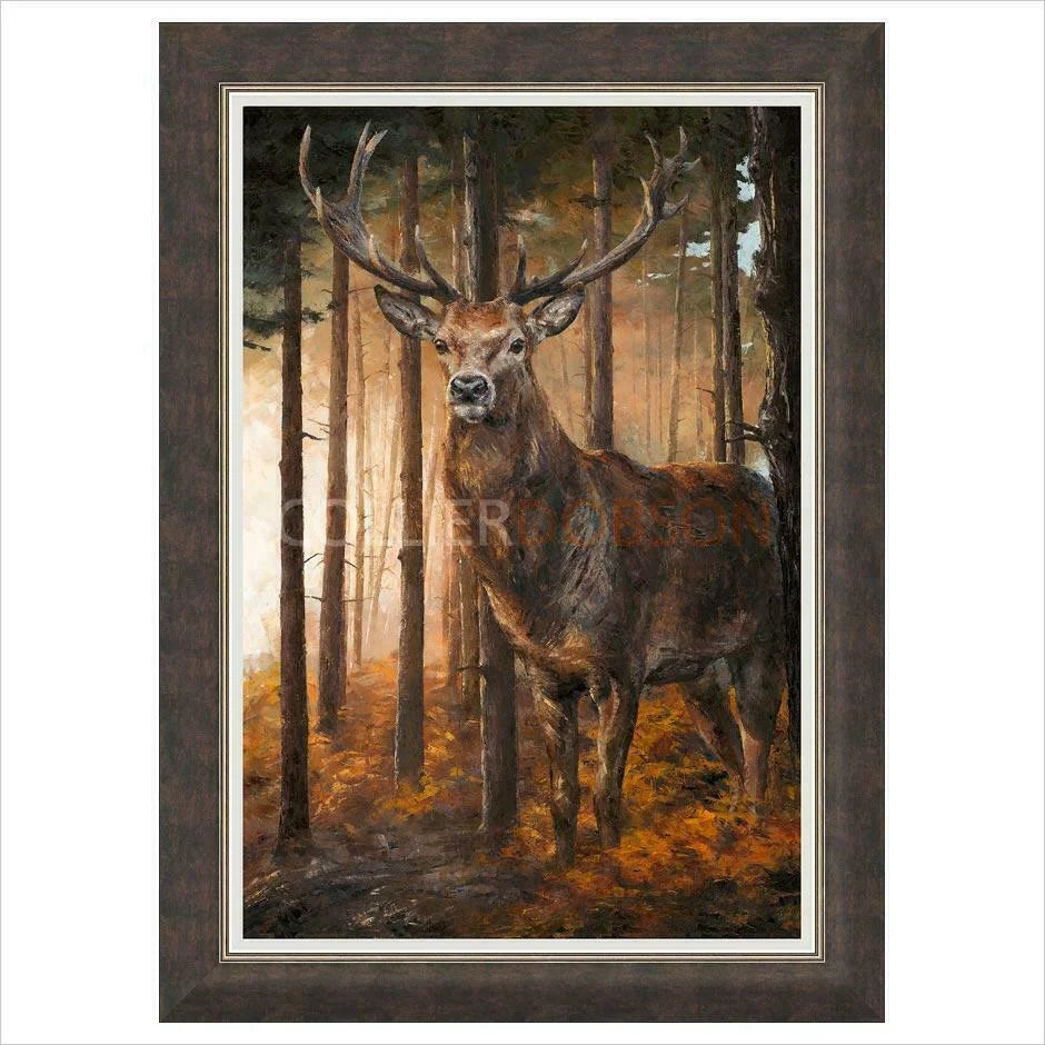 Forest Gaze By Anthony Dobson - TheArtistsQuarter
