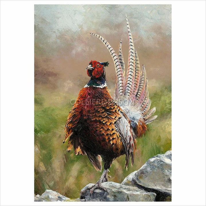 Cock o'The North By Anthony Dobson - TheArtistsQuarter
