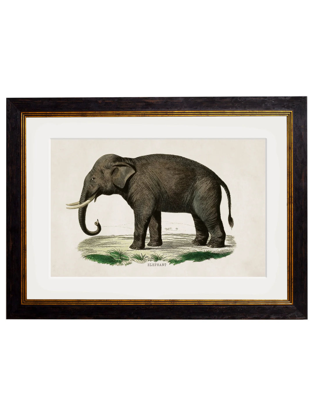 c.1846 Elephants - TheArtistsQuarter