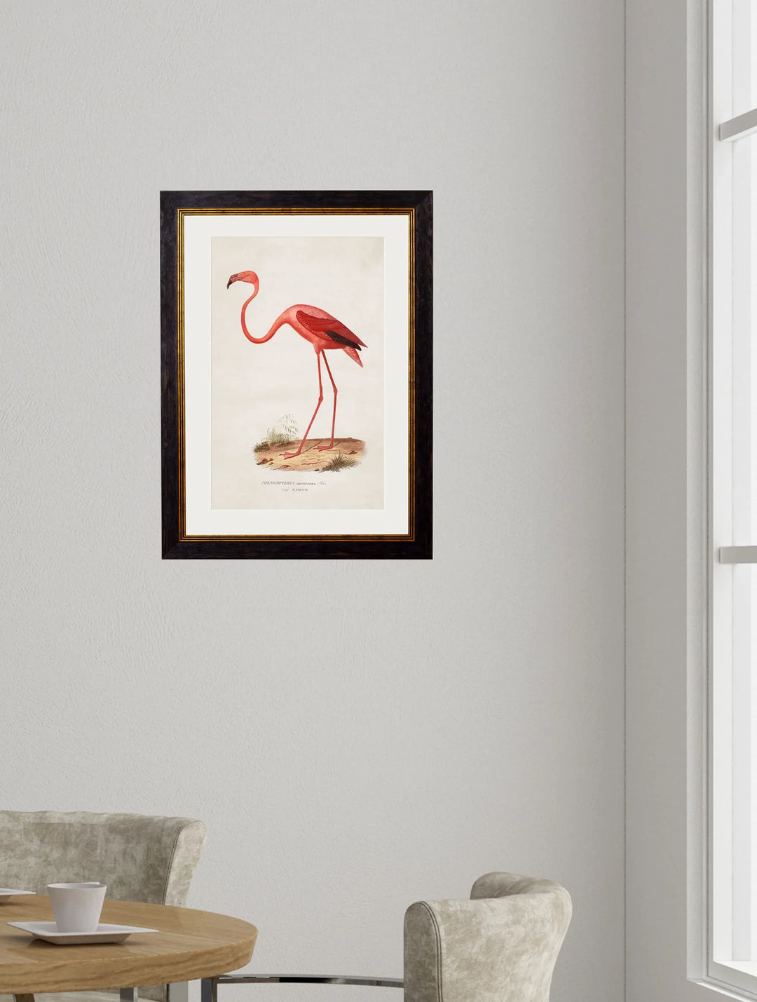 c.1830 Flamingo - TheArtistsQuarter