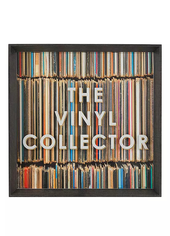 The Vinyl Collector By Faye Reynolds-Lydon