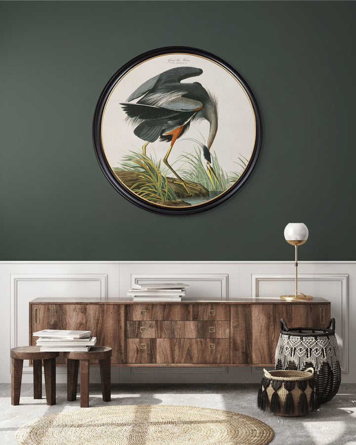 C.1838 Audubon's Herons - Round Frame - TheArtistsQuarter