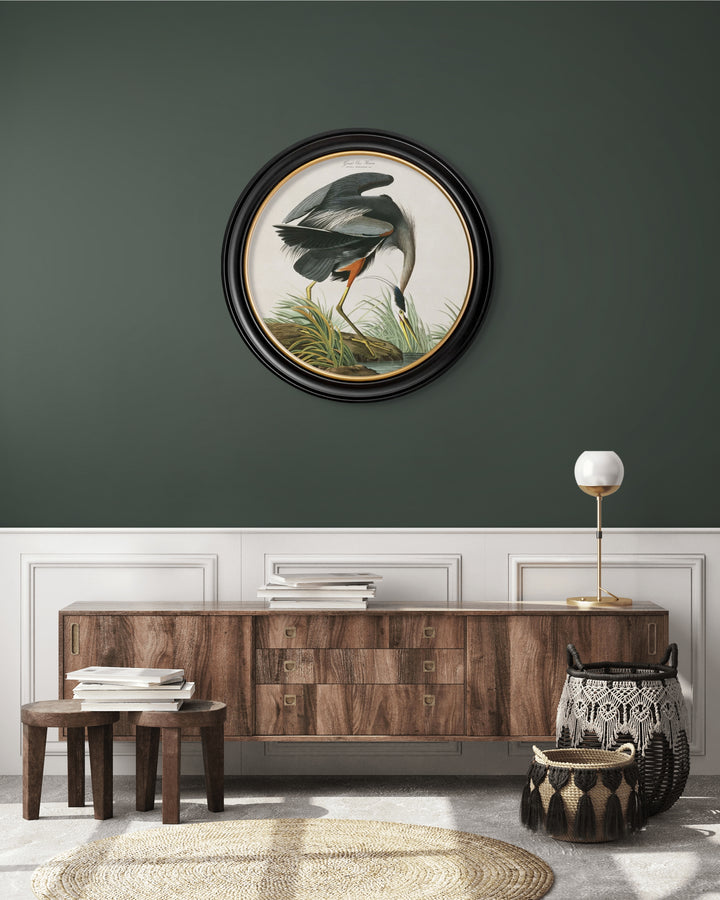 C.1838 Audubon's Herons - Round Frame - TheArtistsQuarter