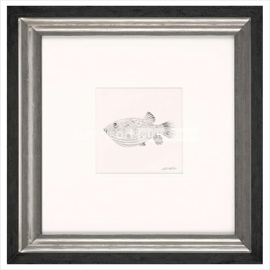 Fish Study (Original) By Gary Walton - TheArtistsQuarter