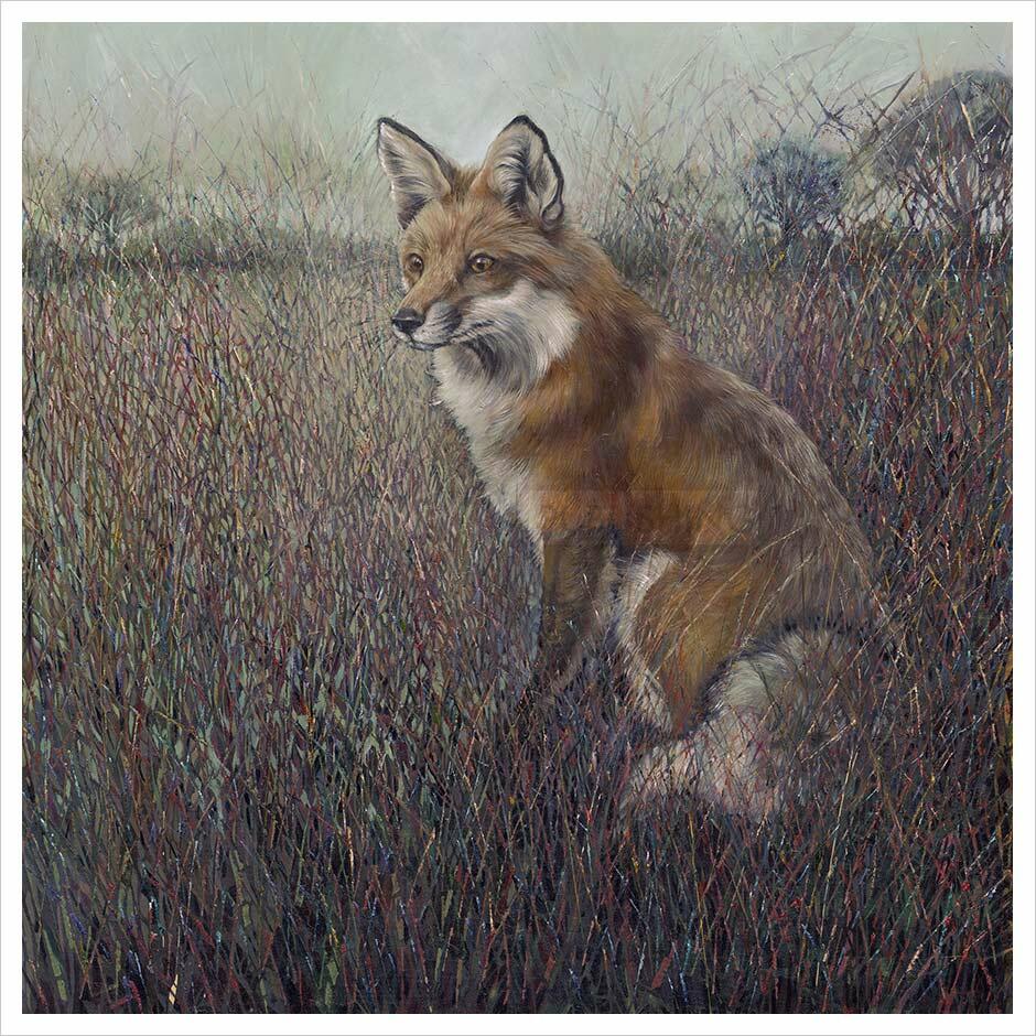 Red Fox By Julia Whitehead - TheArtistsQuarter