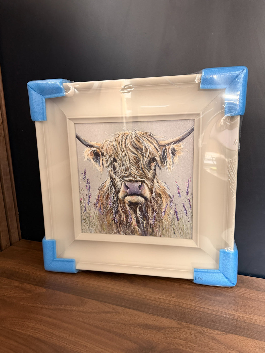 Highland Cow Trial by Louise Luton - TheArtistsQuarter