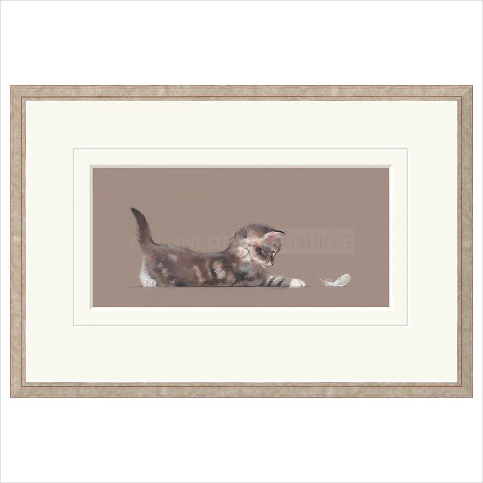 The Feather By Nicky Litchfield