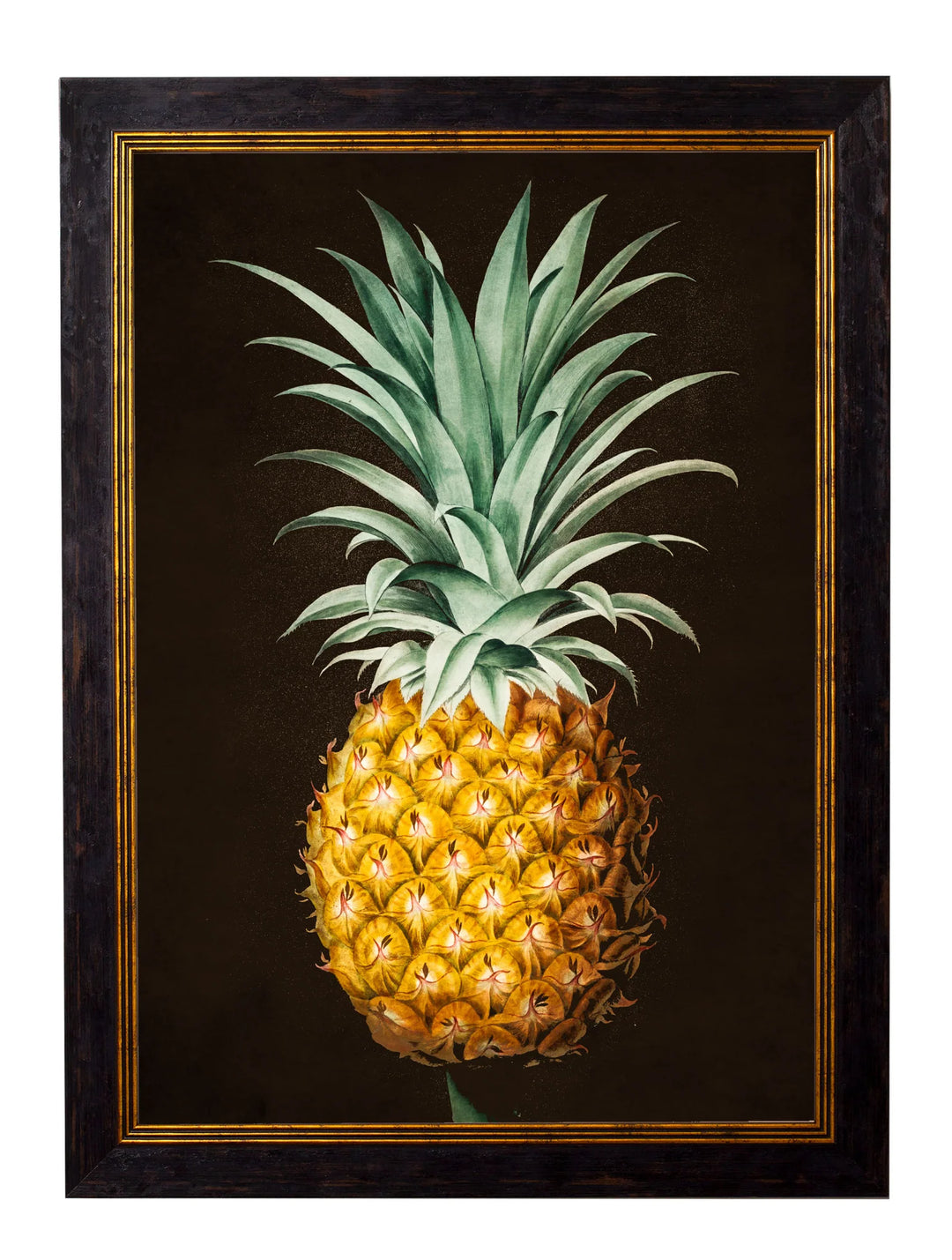 C.1812 Pineapple Plant Studies - TheArtistsQuarter