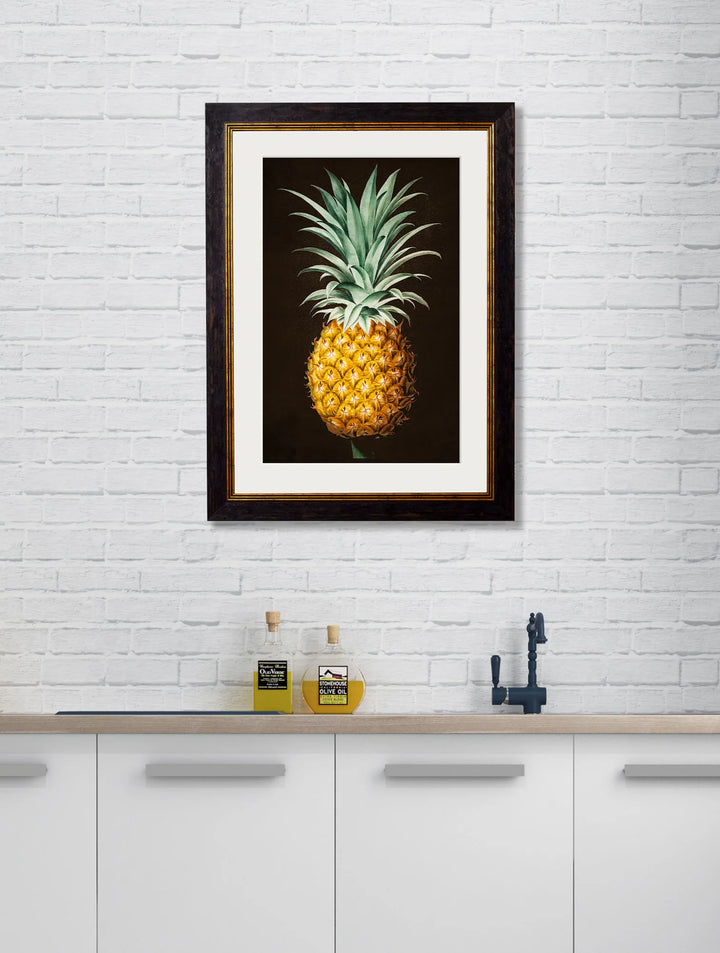 C.1812 Pineapple Plant Studies Cancelled Order - TheArtistsQuarter