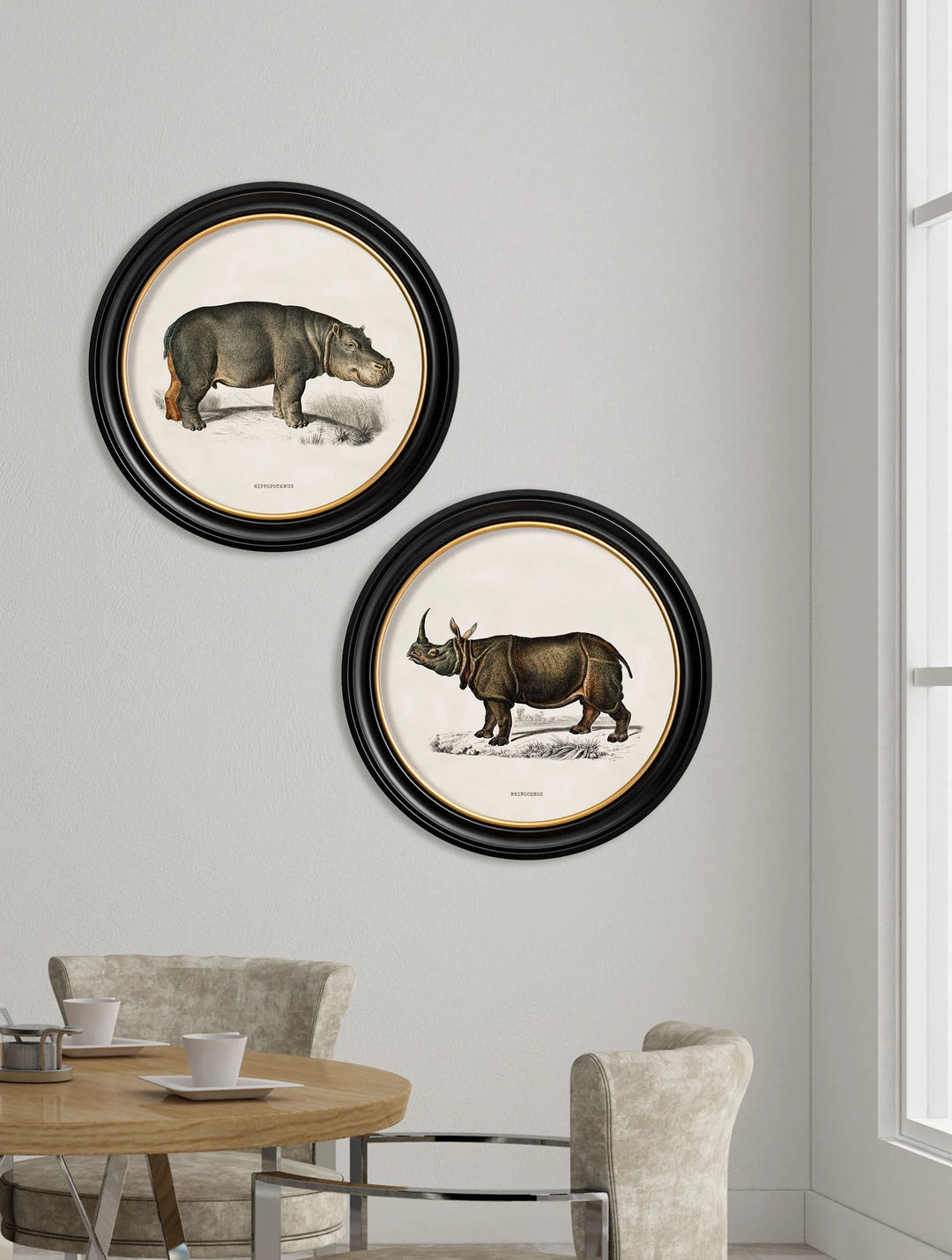 c.1846 Rhino & Hippo - Round Frames - TheArtistsQuarter