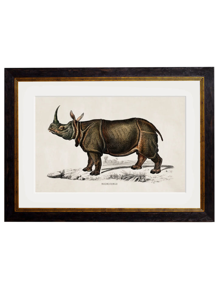 c.1846 Rhino & Hippo - TheArtistsQuarter