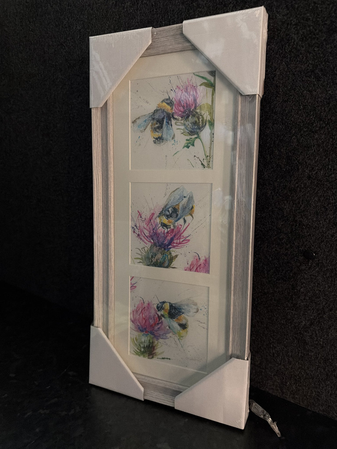 Thistle Symphony By Nicola Jane Rowles