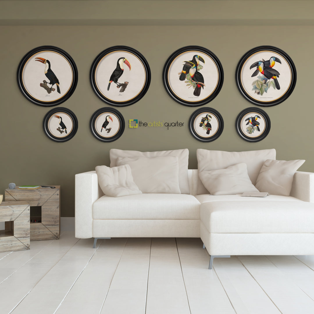 c.1809/1848 Toucans - Round Frames - TheArtistsQuarter