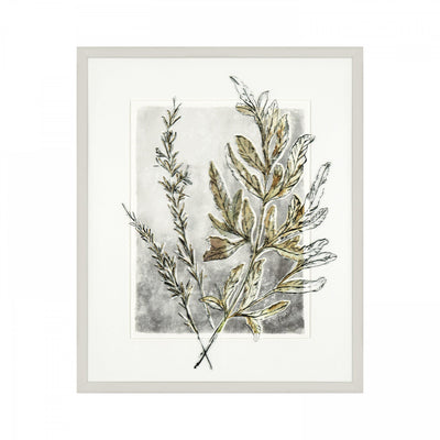 Holly Fern By Charlotte Oakley *TO CLEAR* - TheArtistsQuarter