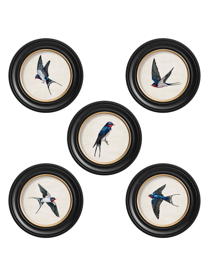 Swallows In Round Frames - TheArtistsQuarter