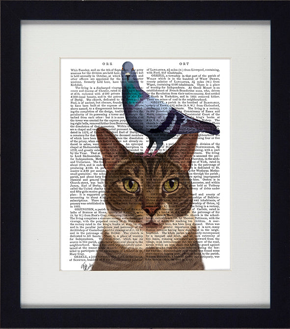 Funky Cats 4 (pigeon on head) Picture - TheArtistsQuarter