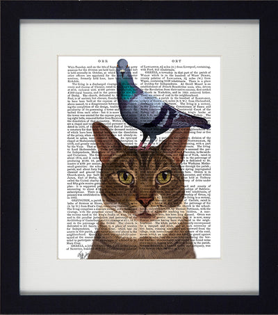 Funky Cats IV (pigeon on head) Picture - TheArtistsQuarter