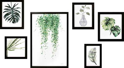 Plant Study Collection - TheArtistsQuarter