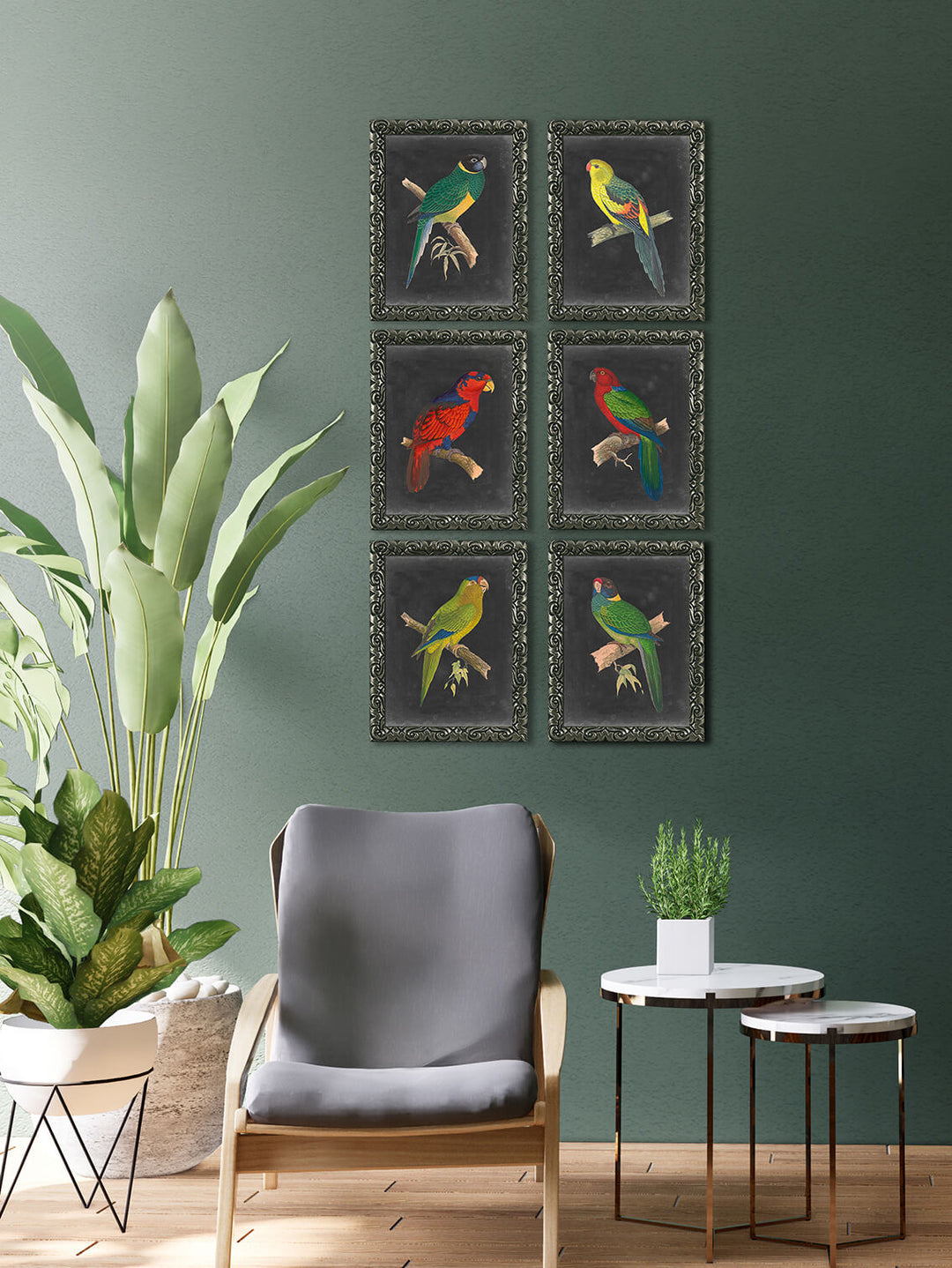 Dramatic Parrots VI - TheArtistsQuarter