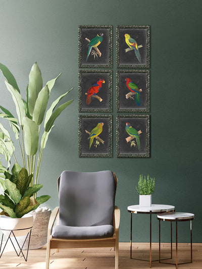 Dramatic Parrots III - TheArtistsQuarter