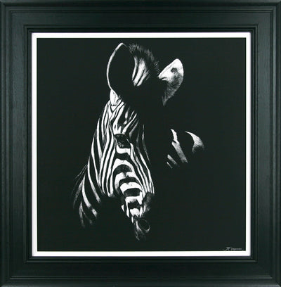 Zebra Stare By Julie Chapman - TheArtistsQuarter