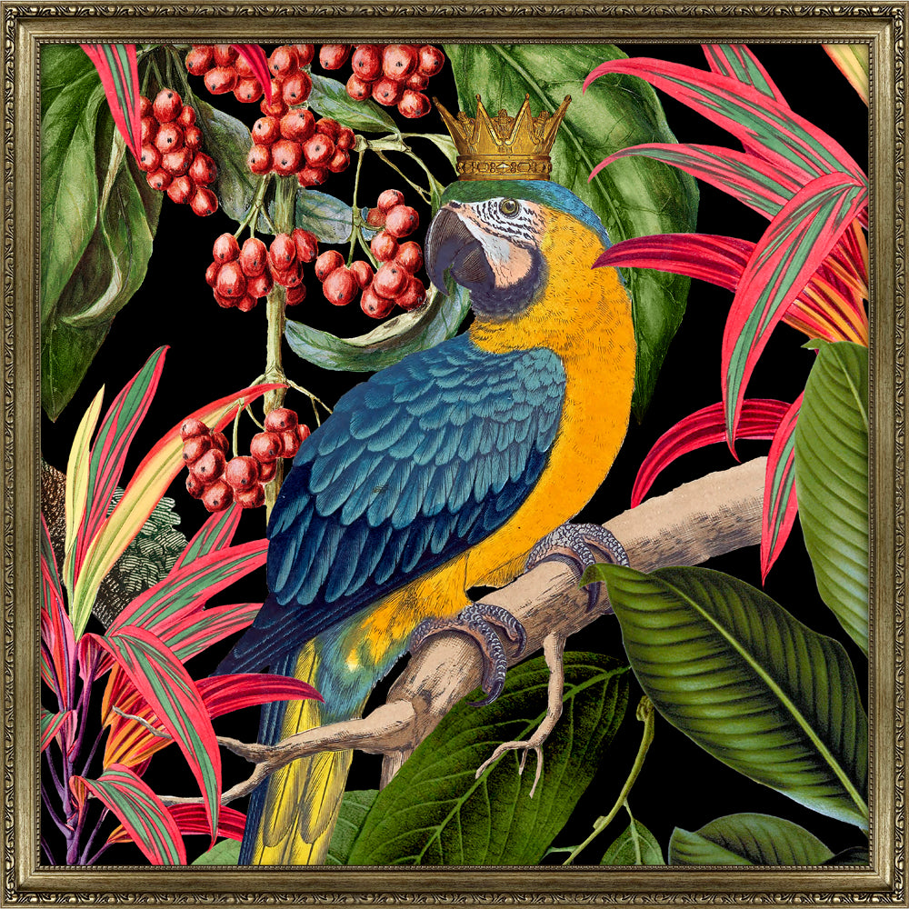 Parrot King By Andrea Haase - TheArtistsQuarter