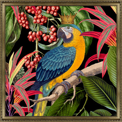 Parrot King By Andrea Haase - TheArtistsQuarter