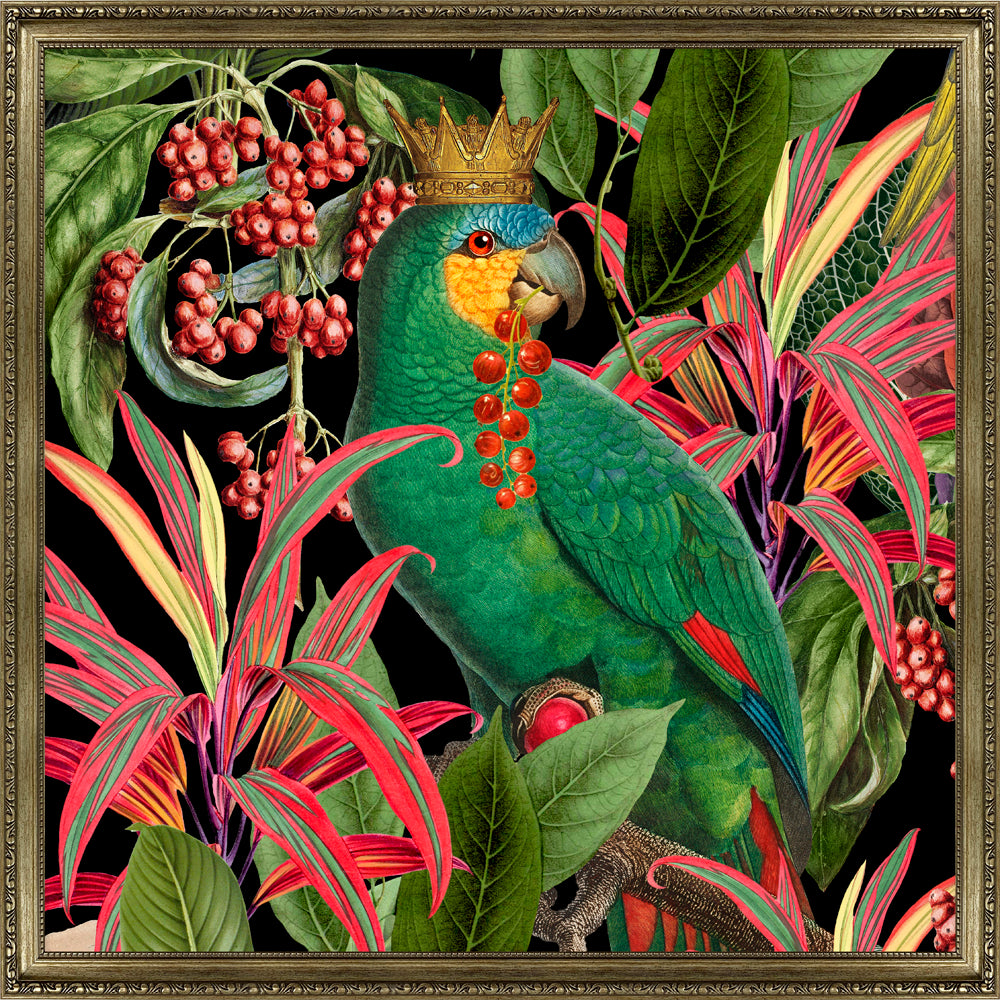 Parrot King II By Andrea Haase - TheArtistsQuarter