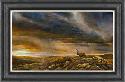Highland Stag By Chris Sharp *NEW* - TheArtistsQuarter