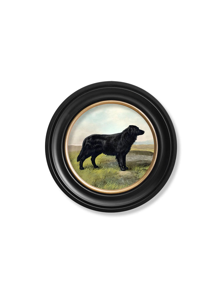 c.1881 Working Dogs - Round Frame - TheArtistsQuarter