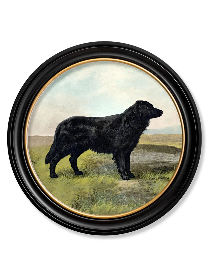 c.1881 Working Dogs - Round Frame - TheArtistsQuarter