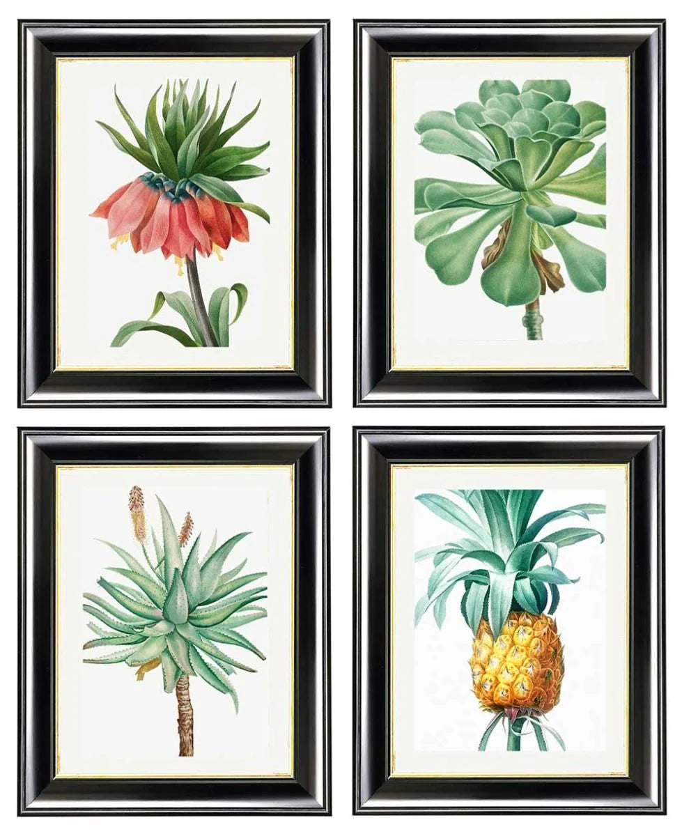 Botanical Nature Illustrations Set of 4 Prints - TheArtistsQuarter