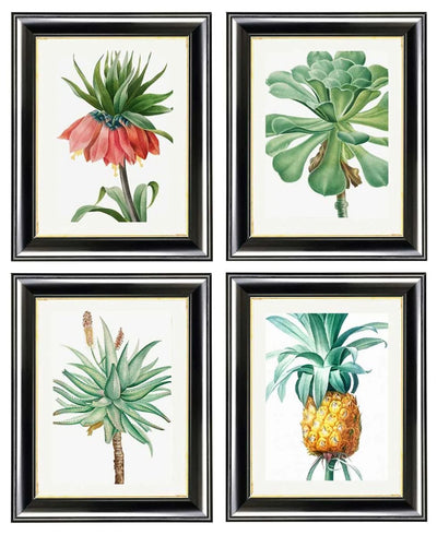 Botanical Nature Illustrations Set of 4 Prints - TheArtistsQuarter