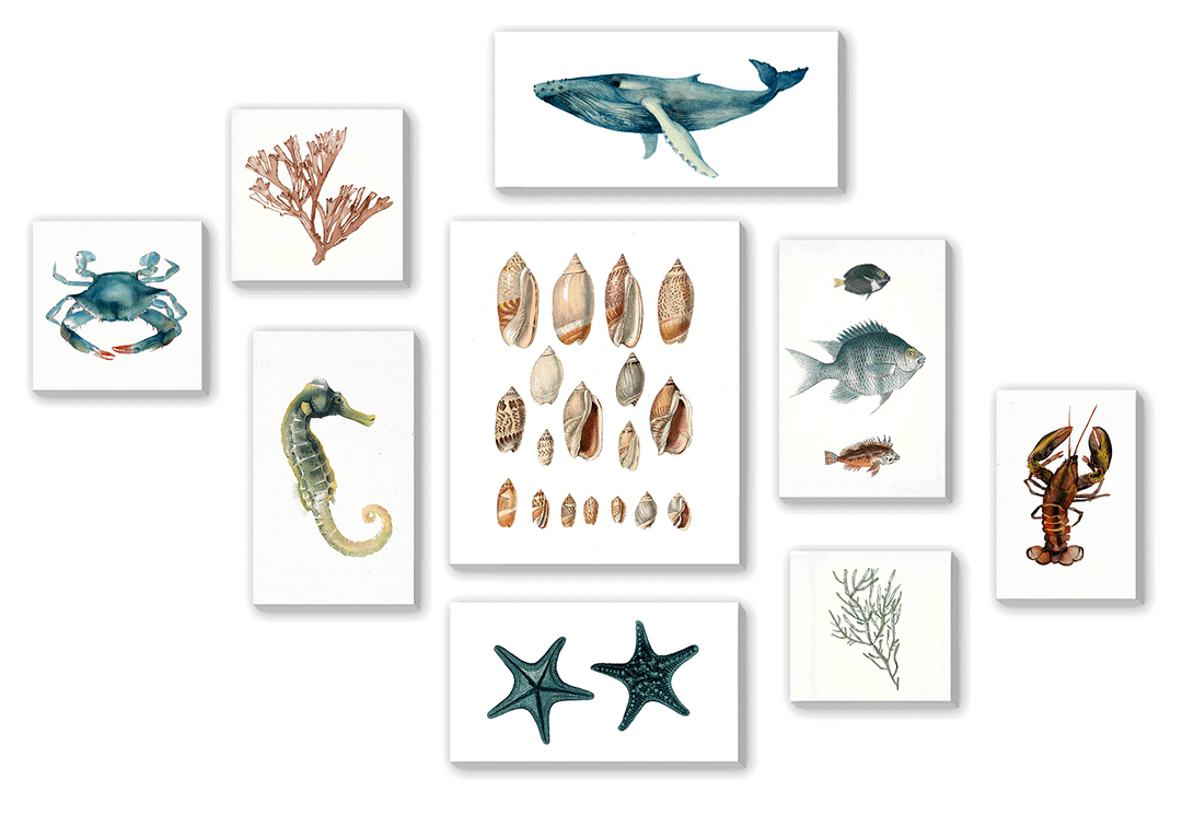 Marine Treasures Collection - TheArtistsQuarter