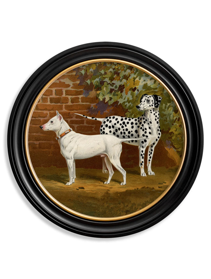 c.1881 Dogs - Round Frame - TheArtistsQuarter