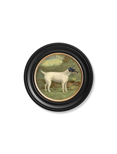 C.1881 TERRIERS - ROUND FRAME - TheArtistsQuarter